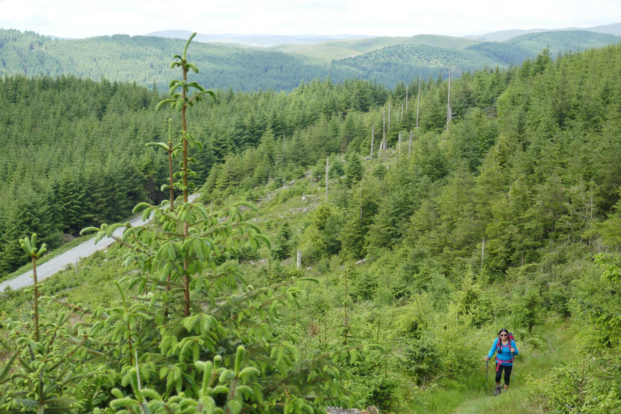RachelSeabrook.net | Wild Walking | Devils-Bridge; pic55